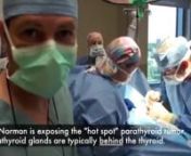 Parathyroid Operation_ State of the art Mini Parathyroid Surgery in 13 Minutes..mp4 from state mp