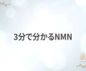 3分で分かるNMN／株式会社キャラ from nmn