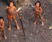 http://www.uncontactedtribes.orgnnFor the first time, extraordinary aerial footage of one of the world&#39;s last uncontacted tribes has been released.nnSurvival&#39;s new film, narrated by Gillian Anderson, has launched our campaign to help protect the earth&#39;s most vulnerable peoples. To find out more go to: http://www.uncontactedtribes.org