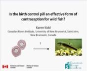 Is the birth control pill an effective form of reproduction for wild fish?nKaren Kidd, Canadian Rivers InstituteHinck et al., 2009; Jobling et al., 1998; Jobling and Tyler, 2003; Sumpter and Johnson, 2008).Fish exposed to these substances are unable to develop eggs or sperm, or spawn successfully (see review by Scholz and Kluver, 2009).One group of contaminants of particular interest are the estrogens and estrogen mimics, as they can feminize male fish and decrease their reproductive perfo