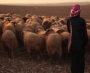 Sarouj is a town in the middle of the Syrian desert, consisting of sheep herders living among houses resembling beehives. It is known as one of the