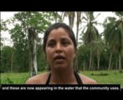 These two interviews were filmed in the rural community of Milano in Costa Rica in 2011. Xinia Briceño (Environmental Activism) describes a ten-year struggle to prevent pineapple production expanding over community land and contaminating the water supply with agrochemicals used in the production process at a local pineapple plantation; and Eliseth Urbina (Poor Water) speaks about the effects on her and her family of drinking contaminated water. nnThey are members of ASADA (Xinia is the Presiden