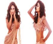 Kasautii Zindagii Kay fame Shweta Tiwari has posted some hot pictures in a saree. Check out!