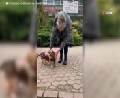 After spending a year at the animal shelter, Korto still hadn&#39;t found a forever home. But then, an unexpected call led to a tear-jerking reunion.