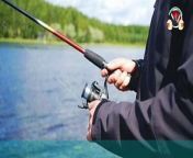 How do I choose a reel for my rod?&#60;br/&#62;Spinning reels are the choice for lightweight lines and small lures when fishing in clear water or for small fish. Baitcasters are best when power is needed to fight bigger fish. Those reels and rods are ideally matched for bass, musky and walleye, as well as most saltwater fish.&#60;br/&#62;