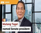 The former Sarawak MP and lawyer made president of the Dewan Negara.&#60;br/&#62;&#60;br/&#62;&#60;br/&#62;Read More: &#60;br/&#62;https://www.freemalaysiatoday.com/category/nation/2024/02/19/mutang-tagal-named-senate-president/&#60;br/&#62;&#60;br/&#62;Laporan Lanjut: &#60;br/&#62;https://www.freemalaysiatoday.com/category/bahasa/tempatan/2024/02/19/mutang-tagal-dipilih-yang-di-pertua-dewan-negara/&#60;br/&#62;&#60;br/&#62;&#60;br/&#62;Free Malaysia Today is an independent, bi-lingual news portal with a focus on Malaysian current affairs.&#60;br/&#62;&#60;br/&#62;Subscribe to our channel - http://bit.ly/2Qo08ry&#60;br/&#62;------------------------------------------------------------------------------------------------------------------------------------------------------&#60;br/&#62;Check us out at https://www.freemalaysiatoday.com&#60;br/&#62;Follow FMT on Facebook: http://bit.ly/2Rn6xEV&#60;br/&#62;Follow FMT on Dailymotion: https://bit.ly/2WGITHM&#60;br/&#62;Follow FMT on Twitter: http://bit.ly/2OCwH8a &#60;br/&#62;Follow FMT on Instagram: https://bit.ly/2OKJbc6&#60;br/&#62;Follow FMT on TikTok : https://bit.ly/3cpbWKK&#60;br/&#62;Follow FMT Telegram - https://bit.ly/2VUfOrv&#60;br/&#62;Follow FMT LinkedIn - https://bit.ly/3B1e8lN&#60;br/&#62;Follow FMT Lifestyle on Instagram: https://bit.ly/39dBDbe&#60;br/&#62;------------------------------------------------------------------------------------------------------------------------------------------------------&#60;br/&#62;Download FMT News App:&#60;br/&#62;Google Play – http://bit.ly/2YSuV46&#60;br/&#62;App Store – https://apple.co/2HNH7gZ&#60;br/&#62;Huawei AppGallery - https://bit.ly/2D2OpNP&#60;br/&#62;&#60;br/&#62;#FMTNews #MutangTagal #SenatePresident #DewanNegara