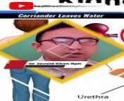 learn Corrainder Leaves Water benefits #corriander #shorts #healthtips #health #drjavaidkhan#healthwellnesspharmacist&#60;br/&#62;pics credit : freepik.com vecteezy.com&#60;br/&#62;&#60;br/&#62;Facebook page of Health Wellness Pharmacist:&#60;br/&#62;https://bit.ly/3FoJioS&#60;br/&#62;&#60;br/&#62;Follow Us On TikTok:&#60;br/&#62;https://www.tiktok.com/@healthwellnesspharmacist?is_from_webapp=1&amp;sender_device=pc&#60;br/&#62;&#60;br/&#62;This video is for general informational purposes only. It should not be used to self-diagnose and it is not a substitute for a medical exam, cure, treatment, diagnosis, and prescription or recommendation. It does not create a doctor-patient relationship between Dr. Javaid Khan RPh and you. You should not make any change in your health regimen or diet before consulting a physician and obtaining a medical exam, diagnosis, and recommendation. Always seek the advice of a physician or other qualified health provider with any questions you may have regarding a medical condition.