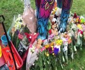 A mum who lost her child in a horror crash with two women outside his school in Worcestershire last week has spoken of her heartbreak, saying how much she looked forward to living with him again.&#60;br/&#62;Leo Painter, six, died when the Ford Mondeo he was in was hit by a grey BMW 3 series at 3.07pm on Thursday (February 22) on the A44 in Spetchley. Leo, who had been in foster care, was travelling with a female driver and a woman accompanying Leo. Both women were pronounced dead at the scene.&#60;br/&#62;