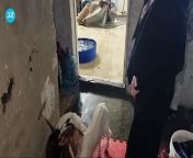 Video: Sharjah driver's family with 8 kids left homeless after devastating rain from madarasi sex rain
