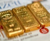 Gold could be the best commodity to invest in this year, here's why you should consider it from tv hi gold