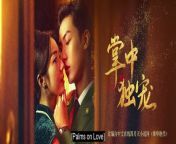 Palms on Love (2024) ep 22 chinese drama eng sub