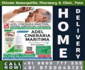 &#60;br/&#62;Homeopathic Doctorsin Undri &#60;br/&#62;Best Homeopathic Doctor in Kondhwa, Salunke Vihar,NIBM Rd,Undri,Wanawadi,Camp,M G Road, Ganga dham,Market yard,Salisbury park, Fatima nagar,Mohhamadwadi,&#60;br/&#62;&#60;br/&#62;Yevalewadi,,Kondhwa Budruk&#60;br/&#62;Shivam Homeopathy India Homeo Pharma - Homeopathy medicine in Kondhwa, Homeopathy medicine shop in, Homeopathy Pharmacy in, Homeopathy medicine store in Undri/ Kondhwa/ Yewalewadi/ Salunkhe Vihar/ NIBM/ Fatima nagar&#60;br/&#62;&#60;br/&#62;A qualified medical practitioner, Shivam Homeopathic Pharmacy in Viman Nagar, Pune is one among the celebrated Homeopathic Medicine Retailers, having practiced the medical specialization for many years. This medical practitioner&#39;s clinic was established a while ago and since then, it has drawn scores of patients not only from in and around the neighbourhood but also from the neighbouring areas as well. This medical professional is proficient in identifying, diagnosing and treating the various health issues and problems related to the medical field. This doctor has the requisite knowledge and the expertise not just to address a diverse set of health ailments and conditions but also to prevent them.&#60;br/&#62;&#60;br/&#62;As a trained medical professional, this doctor is also familiar with the latest advancements in the related field of medicine. The clinic of this doctor is at Shop No L-27, Lower Ground Floor,In Phoenix City,East Court,Pune- Nager Road,Viman Nagar-411014. The commute to this clinic is a rather convenient one as various modes of conveyance are easily available. In order to get more information and to schedule an appointment with this doctor, citizens can reach out on the following contact number + Call Now: 8600777555 020 2683 0131 / 9730045121 / 020 6689 0877 / 904909701&#60;br/&#62;For more details visit&#60;br/&#62; &#60;br/&#62; https://shivamhomeopathicpharmacyclinic.com/product/abies-canadensis/&#60;br/&#62;&#60;br/&#62;https://shivamhomeopathicpharmacyclinic.com/