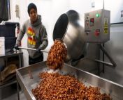 Nuts4Nuts in New York City packages and roasts nearly 300,000 pounds of nuts every year. Here&#39;s how one pushcart expanded into a fleet with over 1,000 employees and became one of the city&#39;s most iconic street vendors.