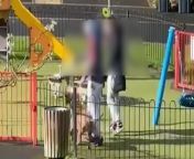 Shocking footage shows the moment a cruel yob punched a dog in the face before throwing it over a fence at a children&#39;s playground.&#60;br/&#62;&#60;br/&#62;