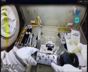 Watch how China Shenzhou 14 crew cultivated plants using rice and Thale cress seeds on the Tiangong space station during their missions. They have brought the fruits of their labor back to Earth for study. &#60;br/&#62;&#60;br/&#62;Credit: Space.com &#124; footage courtesy: China Central Television (CCTV) &#124; edited by Steve Spaleta