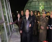 North Korea: Kim Jong-un bans keeping dogs as pets as it 'is incompatible with the socialist lifestyle' from kim meyer