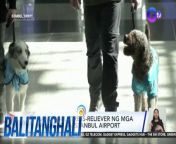 Mga asong stress-reliever sa airport!&#60;br/&#62;&#60;br/&#62;&#60;br/&#62;Balitanghali is the daily noontime newscast of GTV anchored by Raffy Tima and Connie Sison. It airs Mondays to Fridays at 10:30 AM (PHL Time). For more videos from Balitanghali, visit http://www.gmanews.tv/balitanghali.&#60;br/&#62;&#60;br/&#62;#GMAIntegratedNews #KapusoStream&#60;br/&#62;&#60;br/&#62;Breaking news and stories from the Philippines and abroad:&#60;br/&#62;GMA Integrated News Portal: http://www.gmanews.tv&#60;br/&#62;Facebook: http://www.facebook.com/gmanews&#60;br/&#62;TikTok: https://www.tiktok.com/@gmanews&#60;br/&#62;Twitter: http://www.twitter.com/gmanews&#60;br/&#62;Instagram: http://www.instagram.com/gmanews&#60;br/&#62;&#60;br/&#62;GMA Network Kapuso programs on GMA Pinoy TV: https://gmapinoytv.com/subscribe