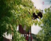 【我们这十年】第2集：唐宫夜宴 - 白百何、张慧雯主演 - Our Times EP2- Night Banquet in Tang Dynasty Palace (English Subtitles)