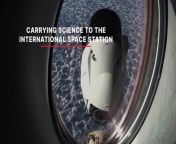 Learn what science payloads are being shipped aboard Cargo Dragon to the International Space Station on the SpaceX CRS-29 mission.&#60;br/&#62;&#60;br/&#62;Credit: NASA