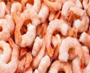 We all know frozen shrimp doesn&#39;t taste like fresh-caught. But there&#39;s hope in the freezer case, if you know where to look. We&#39;re diving into the store-bought products you should and shouldn&#39;t buy.