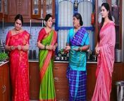 TamilDhool • Latest Collection of Tamil Serials Shows