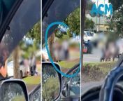 Passers-by filmed what appeared to be a NSW police officer punching the man during an arrest near Knox Park, Murwillumbah, on Monday April 8, 2024.