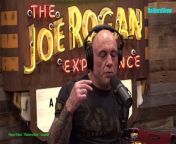The Joe Rogan Experience Video - Episode latest update&#60;br/&#62;Paul Stamets is a mycologist and advocate for bioremediation and medicinal fungi. He has written, edited, and contributed to several books, including &#92;