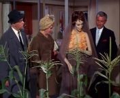 Green Acres S01E02 (Lisa's First Day on the Farm) from intekam 2020 s01e02