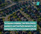 California Insurance Meltdown: 7 Major Players Halt Homeowner Policies &#60;br/&#62; @TheFposte&#60;br/&#62;____________&#60;br/&#62;&#60;br/&#62;Subscribe to the Fposte YouTube channel now: https://www.youtube.com/@TheFposte&#60;br/&#62;&#60;br/&#62;For more Fposte content:&#60;br/&#62;&#60;br/&#62;TikTok: https://www.tiktok.com/@thefposte_&#60;br/&#62;Instagram: https://www.instagram.com/thefposte/&#60;br/&#62;&#60;br/&#62;#thefposte #california #insurance #crisis