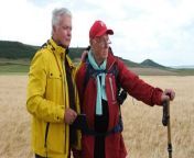 WATCH: The Way, My Way film trailer&#60;br/&#62;This is a charming and captivating true story of a stubborn and amusingly self-centred Australian man (Bill Bennett) who decides to walk the Camino de Santiago pilgrimage route through Spain. In cinemas May 16, 2024.&#60;br/&#62;