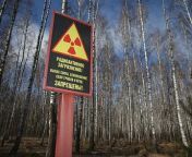 This Day in History: , Nuclear Disaster &#60;br/&#62;at Chernobyl.&#60;br/&#62;April 26, 1986.&#60;br/&#62;The disaster at Chernobyl, located about 65 miles from Kiev in the former Soviet Union, is the worst nuclear power plant accident to date.&#60;br/&#62;50 tons of radioactive material was released into the atmosphere after an explosion of the Number 4 reactor, caused by an engineering experiment.&#60;br/&#62;The 30,000 residents of &#60;br/&#62;the nearby community of &#60;br/&#62;Pripyat were evacuated the next day.&#60;br/&#62;The Soviet government &#60;br/&#62;attempted a cover-up.&#60;br/&#62;But two days after the disaster, radiation levels &#60;br/&#62;800 miles away in Sweden were detected at &#60;br/&#62;40% higher than the normal level.&#60;br/&#62;32 people were initially &#60;br/&#62;killed in the Chernobyl plant. &#60;br/&#62;5,000 Soviets eventually died &#60;br/&#62;from radiation-induced illnesses.&#60;br/&#62;Millions of acres of forest &#60;br/&#62;and farmland across Northern &#60;br/&#62;and Eastern Europe were contaminated.&#60;br/&#62;The former residents of &#60;br/&#62;Pripyat have never returned