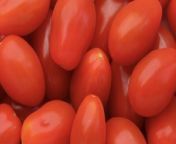 8 Tips for Growing Cherry Tomato Plants That Will Thrive All Season from cherry roy