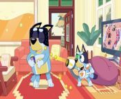 Bluey - 'Surprise! Episode from charamsukh all episodes