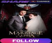 Flash Marriage With My Alpha Part 1 from armani goumani