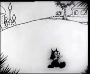 Felix The Cat - Outdoor Indore from indore peeing