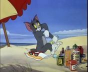 Tom and Jerry The cat and the mermouse