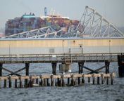 Baltimore Bridge collapse&#60;br/&#62;A major bridge in the US city of Baltimore has entirely collapsed into the Patapsco River after being hit by a container ship&#60;br/&#62;Video shows the bridge breaking up and quickly plunging into the water along with vehicles and people