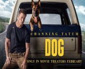 DOG (MGM) Starring: Channing Tatum, Jane Adams, Kevin Nash, Q’orianka Kilcher, Ethan Suplee, Emmy Raver-Lampman, Nicole LaLiberté, Luke Forbes, Ronnie Gene Blevins&#60;br/&#62;DOG is a buddy comedy that follows the misadventures of two former Army Rangers paired against their will on the road trip of a lifetime. Army Ranger Briggs (Channing Tatum) and Lulu (a Belgian Malinois dog) buckle into a 1984 Ford Bronco and race down the Pacific Coast in hopes of making it to a fellow soldier&#39;s funeral on time. Along the way, they’ll drive each other completely crazy, break a small handful of laws, narrowly evade death, and learn to let down their guards in order to have a fighting chance of finding happiness.&#60;br/&#62;&#60;br/&#62;Genres: Comedy&#60;br/&#62;Rating: PG-13 for language, thematic elements, drug content and some suggestive material&#60;br/&#62;&#60;br/&#62;Directed By Reid Carolin &amp; Channing Tatum&#60;br/&#62;Produced By Gregory Jacobs, Peter Kiernan, Brett Rodriguez&#60;br/&#62;Executive Produced By Betsy Danbury, Ken Meyer&#60;br/&#62;