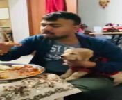 This little puppy sat on their owner&#39;s lap, whining for more food. As the owner continued to eat, the pup kept whining and trying to grab the food.