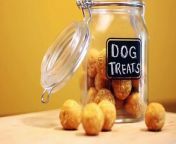 Your dog will flip for these easy homemade treats.