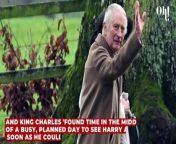 Prince Harry’s 45-minute meeting with King Charles could have a secret meaning from alpaca mating with