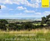 Kurrajong Hills is a well-balanced breeding and backgrounding propertyon the inner Darling Downs.