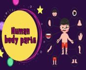 Learn the parts of the human body for children with little girl Juri in an interesting, simple and very fun way&#60;br/&#62;Body parts&#60;br/&#62;Head&#60;br/&#62;the mouth&#60;br/&#62;the eyes&#60;br/&#62;ear&#60;br/&#62;the leg&#60;br/&#62;Foot&#60;br/&#62;Hand&#60;br/&#62;arm&#60;br/&#62;Sing and dance to children&#39;s songs and discover videos and adventures about the amazing worlds waiting to be discovered&#60;br/&#62;Are you looking for a children&#39;s channel that isn&#39;t too &#92;
