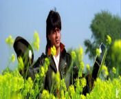 When Raj meets Simran in Europe, it isn&#39;t love at first sight but when Simran moves to India for an arranged marriage, love makes its presence felt.&#60;br/&#62;&#60;br/&#62;Director&#60;br/&#62;Aditya Chopra&#60;br/&#62;Writers&#60;br/&#62;Aditya Chopra -Javed Siddiqui&#60;br/&#62;Stars&#60;br/&#62;Shah Rukh Khan -Kajol-Amrish Puri