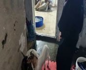 8 children and family homeless in Sharjah after rain from reshma sex rain night