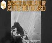 Pine Island Glacier, one of the fastest-shrinking glaciers in Antarctica, hastened its slide into the sea between 2017 and 2020, when one-fifth of its associated ice shelf broke off as massive icebergs, a study revealed. &#60;br/&#62;Scientists studied the acceleration using high-res radar images, captured by satellites.