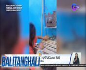 Isang bata sa South Cotabato ang tinuklaw ng hinuli niyang ahas!&#60;br/&#62;&#60;br/&#62;&#60;br/&#62;Balitanghali is the daily noontime newscast of GTV anchored by Raffy Tima and Connie Sison. It airs Mondays to Fridays at 10:30 AM (PHL Time). For more videos from Balitanghali, visit http://www.gmanews.tv/balitanghali.&#60;br/&#62;&#60;br/&#62;#GMAIntegratedNews #KapusoStream&#60;br/&#62;&#60;br/&#62;Breaking news and stories from the Philippines and abroad:&#60;br/&#62;GMA Integrated News Portal: http://www.gmanews.tv&#60;br/&#62;Facebook: http://www.facebook.com/gmanews&#60;br/&#62;TikTok: https://www.tiktok.com/@gmanews&#60;br/&#62;Twitter: http://www.twitter.com/gmanews&#60;br/&#62;Instagram: http://www.instagram.com/gmanews&#60;br/&#62;&#60;br/&#62;GMA Network Kapuso programs on GMA Pinoy TV: https://gmapinoytv.com/subscribe