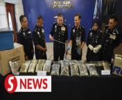 A mastermind of a drug trafficking syndicate here has been arrested following three raids conducted overnight by police from Thursday (March 7) to Friday (March 8 ).&#60;br/&#62;&#60;br/&#62;Read more at https://shorturl.at/nDUW5&#60;br/&#62;&#60;br/&#62;WATCH MORE: https://thestartv.com/c/news&#60;br/&#62;SUBSCRIBE: https://cutt.ly/TheStar&#60;br/&#62;LIKE: https://fb.com/TheStarOnline