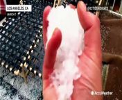 This man living in Los Angeles, California, was surprised to see a large pile of hail during stormy weather on March 7. He said he hadn&#39;t seen a pile this large in 23 years.