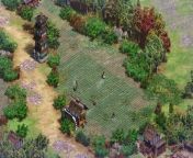 Age of Empires II Victors and Vanquished from 30 age youn